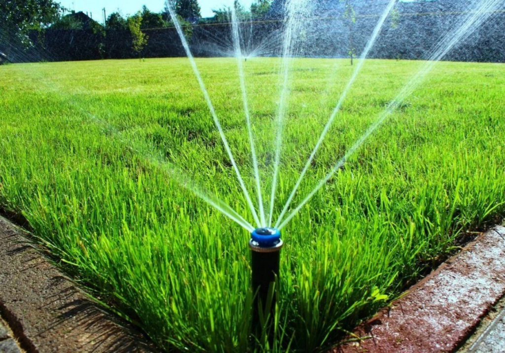 rollrasen-bewaesserung-koeln